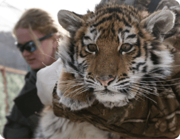 Социальная ответственность